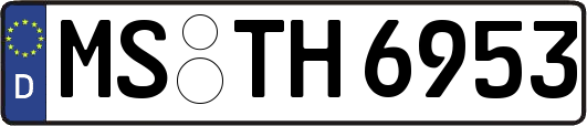 MS-TH6953