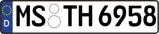 MS-TH6958