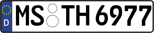 MS-TH6977