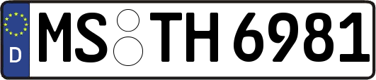 MS-TH6981