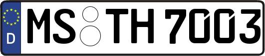 MS-TH7003