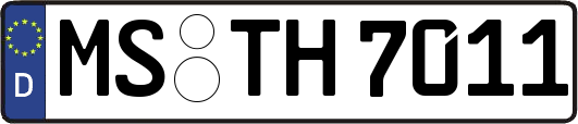 MS-TH7011
