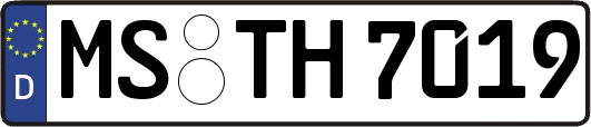 MS-TH7019