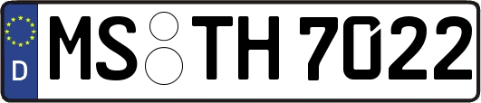 MS-TH7022
