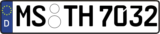 MS-TH7032