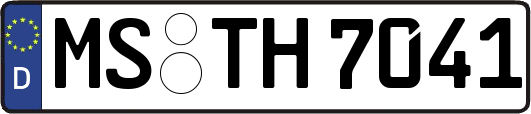 MS-TH7041