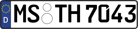 MS-TH7043