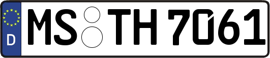 MS-TH7061