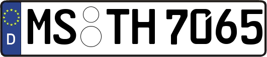 MS-TH7065