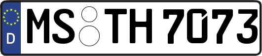 MS-TH7073