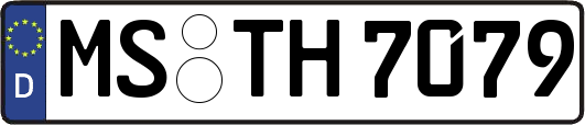 MS-TH7079