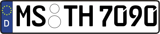 MS-TH7090