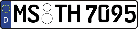 MS-TH7095