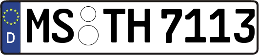 MS-TH7113