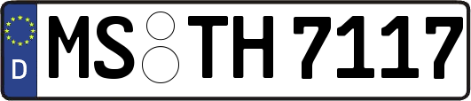 MS-TH7117