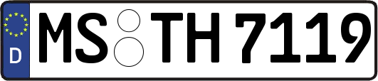 MS-TH7119