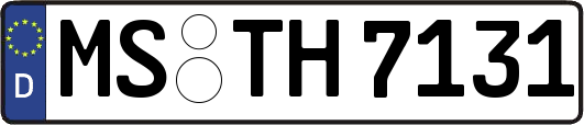 MS-TH7131