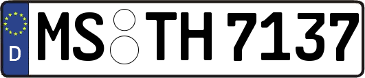MS-TH7137