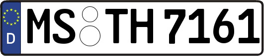 MS-TH7161