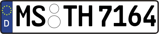 MS-TH7164