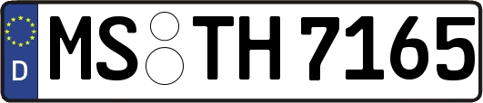 MS-TH7165