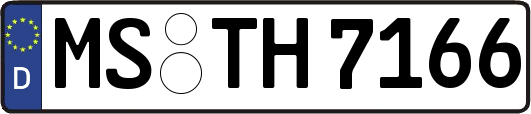MS-TH7166