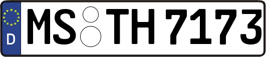 MS-TH7173