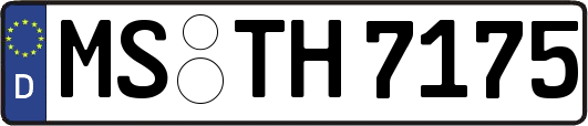 MS-TH7175