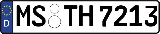 MS-TH7213