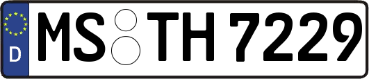 MS-TH7229