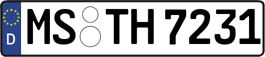 MS-TH7231