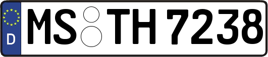MS-TH7238