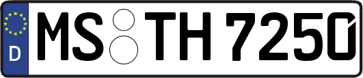 MS-TH7250