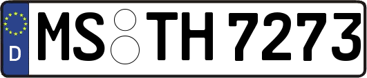 MS-TH7273