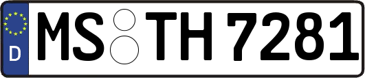 MS-TH7281