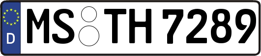 MS-TH7289