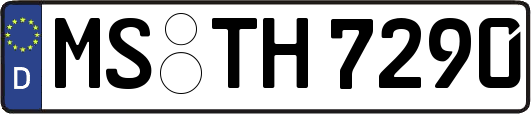 MS-TH7290