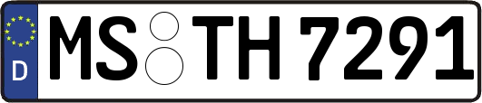 MS-TH7291