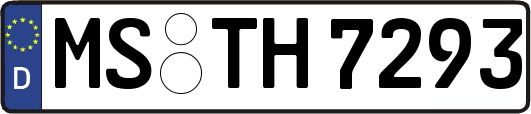 MS-TH7293