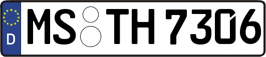 MS-TH7306