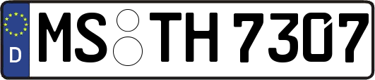 MS-TH7307