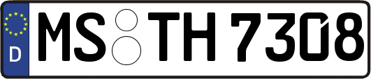 MS-TH7308