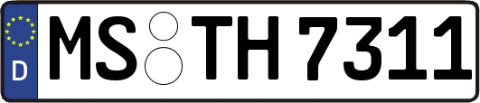 MS-TH7311