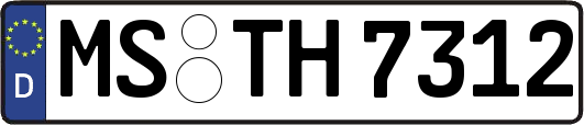 MS-TH7312