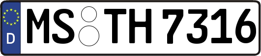 MS-TH7316