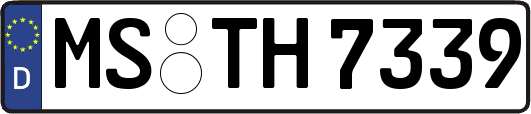 MS-TH7339