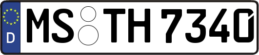 MS-TH7340