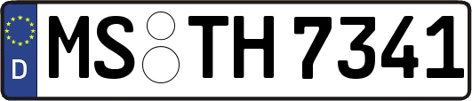 MS-TH7341