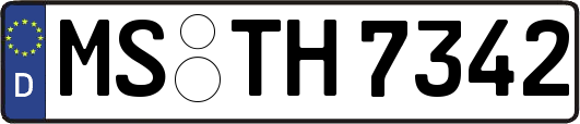 MS-TH7342