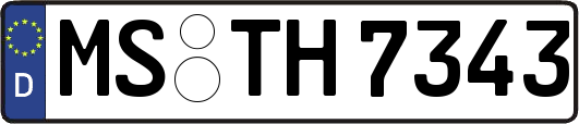 MS-TH7343